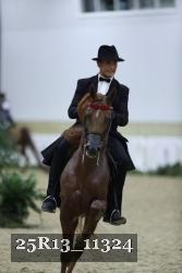 25R13_11324 thumbnail