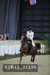 25R13_11326 thumbnail