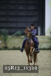 25R13_11329 thumbnail