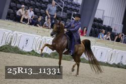 25R13_11331 thumbnail