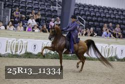 25R13_11334 thumbnail
