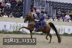25R13_11335 thumbnail