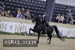 25R13_11336 thumbnail
