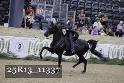 25R13_11337 thumbnail