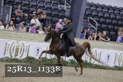 25R13_11338 thumbnail