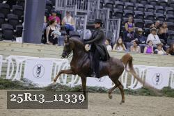 25R13_11339 thumbnail