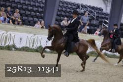 25R13_11341 thumbnail