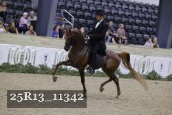 25R13_11342 thumbnail