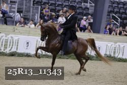 25R13_11343 thumbnail