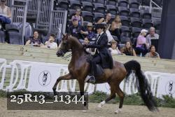 25R13_11344 thumbnail