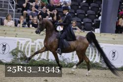 25R13_11345 thumbnail