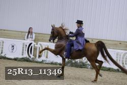 25R13_11346 thumbnail