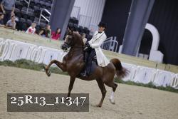 25R13_11347 thumbnail