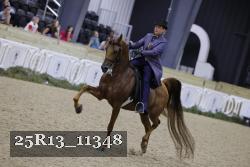 25R13_11348 thumbnail