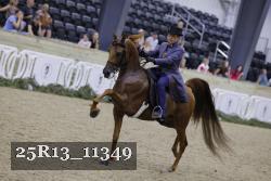 25R13_11349 thumbnail