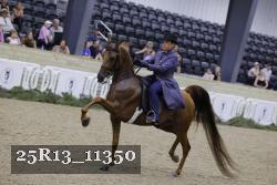 25R13_11350 thumbnail