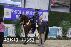 25R13_11353 thumbnail