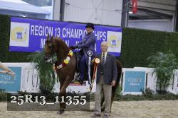 25R13_11355 thumbnail