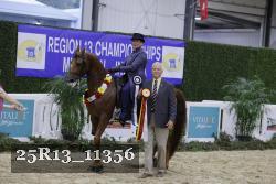25R13_11356 thumbnail
