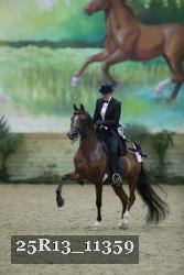 25R13_11359 thumbnail