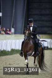 25R13_11361 thumbnail