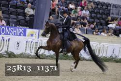 25R13_11371 thumbnail