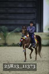 25R13_11373 thumbnail