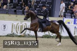 25R13_11375 thumbnail