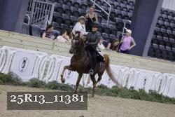 25R13_11381 thumbnail