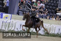 25R13_11382 thumbnail