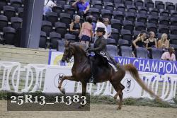 25R13_11383 thumbnail
