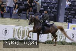 25R13_11384 thumbnail