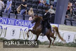 25R13_11385 thumbnail