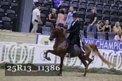 25R13_11386 thumbnail