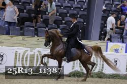 25R13_11387 thumbnail