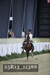 25R13_11388 thumbnail