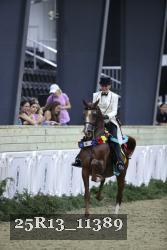 25R13_11389 thumbnail