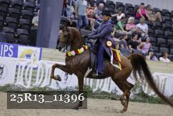 25R13_11396 thumbnail