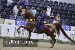 25R13_11397 thumbnail