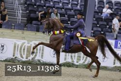 25R13_11398 thumbnail