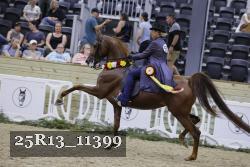 25R13_11399 thumbnail