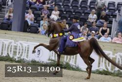 25R13_11400 thumbnail