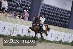 25R13_11401 thumbnail