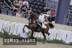 25R13_11402 thumbnail