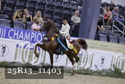 25R13_11403 thumbnail