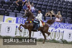 25R13_11404 thumbnail