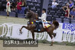 25R13_11405 thumbnail