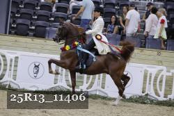 25R13_11406 thumbnail