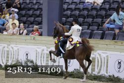 25R13_11409 thumbnail