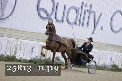25R13_11419 thumbnail